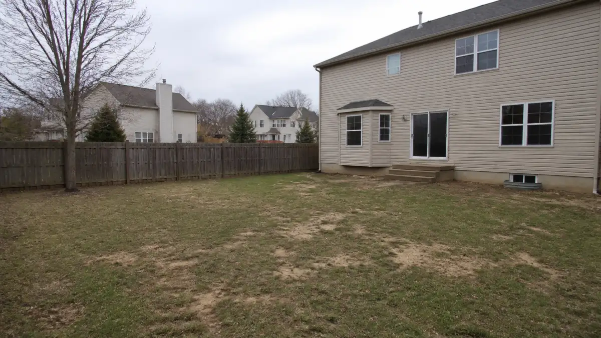 Bare suburban backyard, patchy lawn, no landscaping, overcast BEFORE shot, same angle