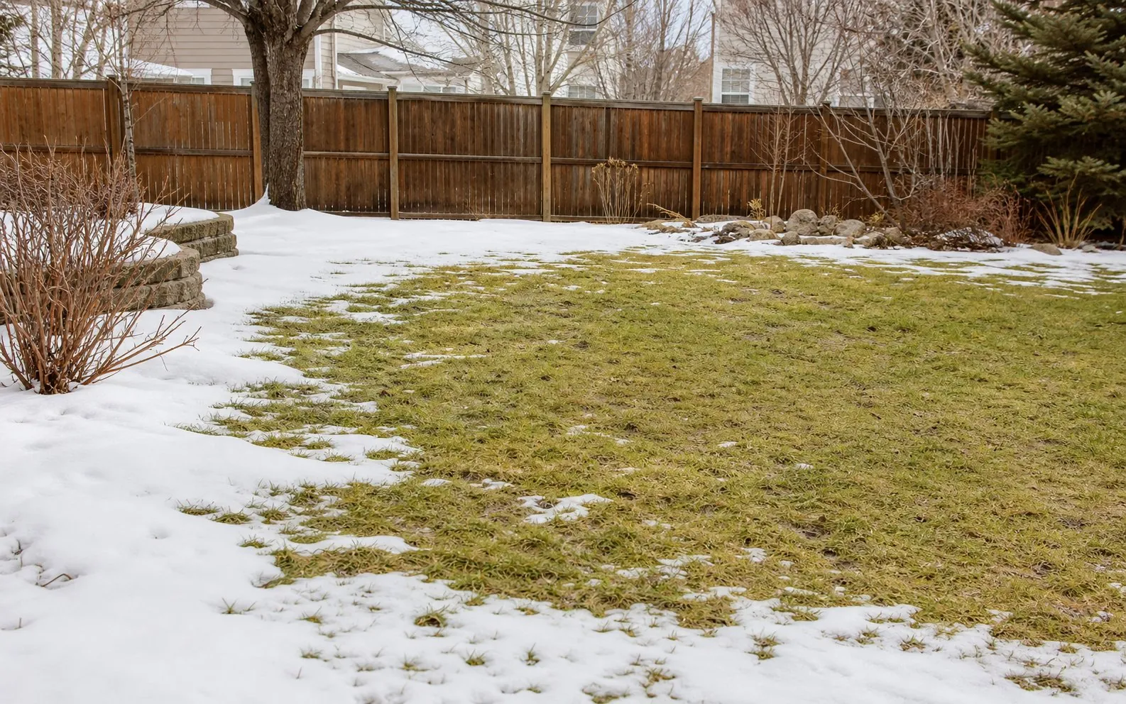 Spring snow thawing in a backyard